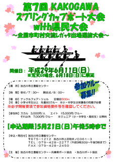 2017springcup_poster_png.png